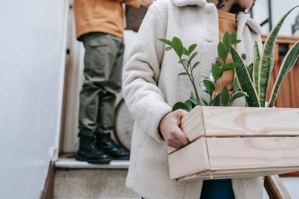 lady holding box of plants with partner in background. Moving house.